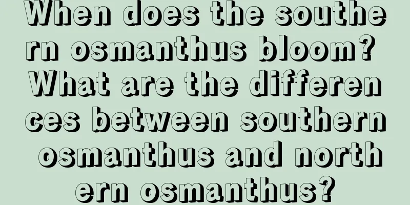 When does the southern osmanthus bloom? What are the differences between southern osmanthus and northern osmanthus?