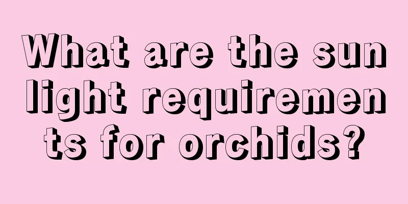 What are the sunlight requirements for orchids?