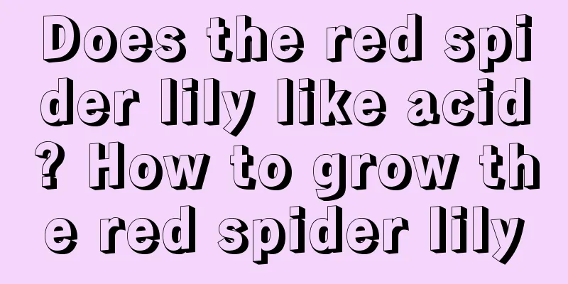 Does the red spider lily like acid? How to grow the red spider lily