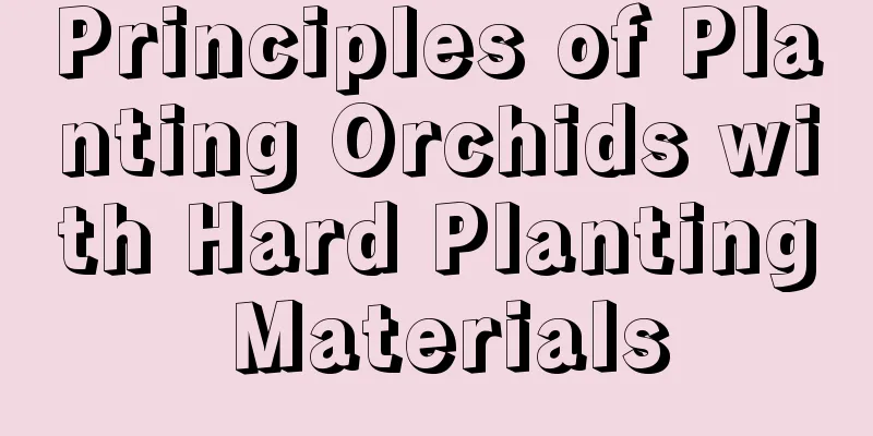 Principles of Planting Orchids with Hard Planting Materials