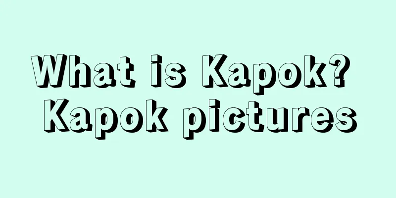 What is Kapok? Kapok pictures