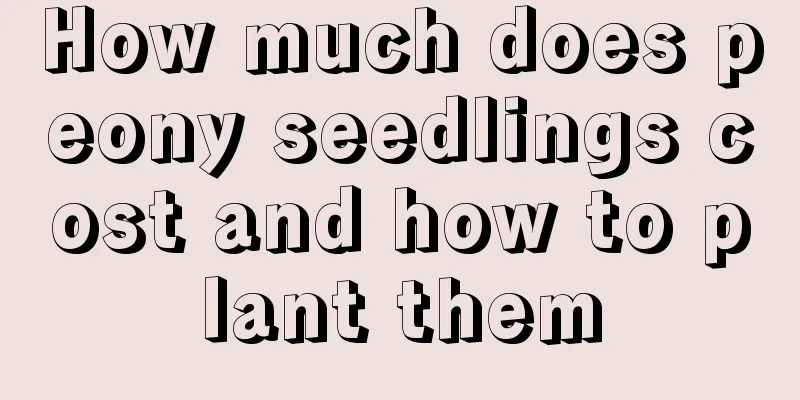 How much does peony seedlings cost and how to plant them