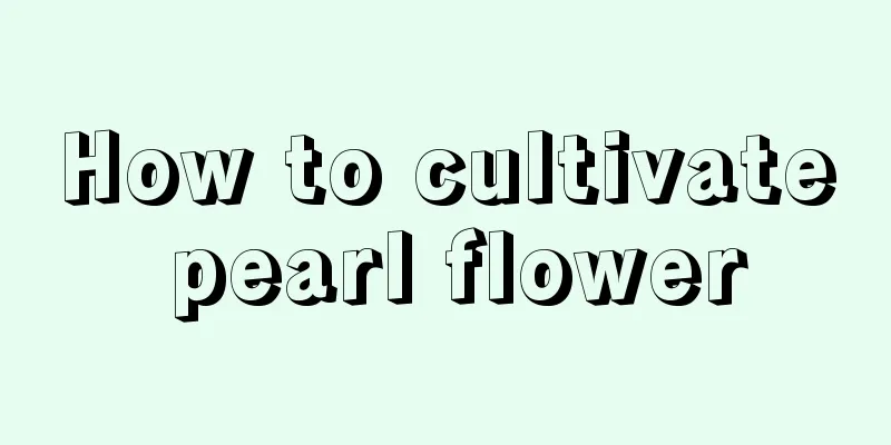 How to cultivate pearl flower