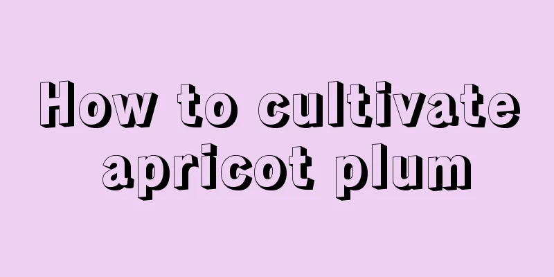 How to cultivate apricot plum