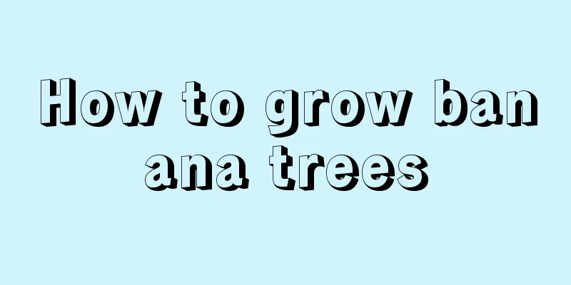 How to grow banana trees