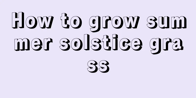 How to grow summer solstice grass