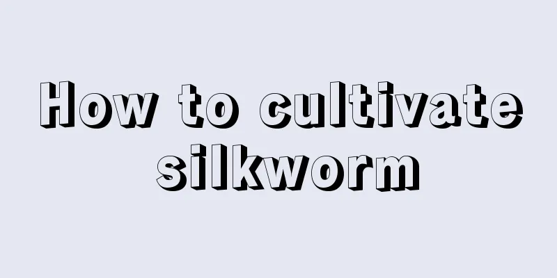 How to cultivate silkworm