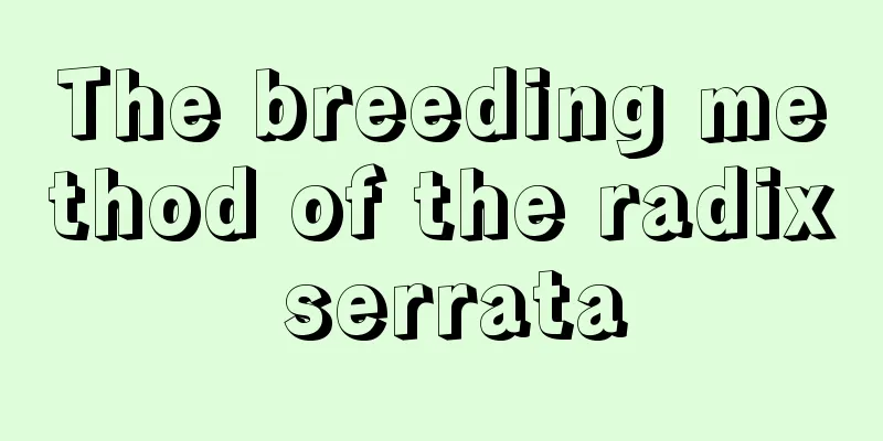 The breeding method of the radix serrata