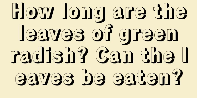 How long are the leaves of green radish? Can the leaves be eaten?