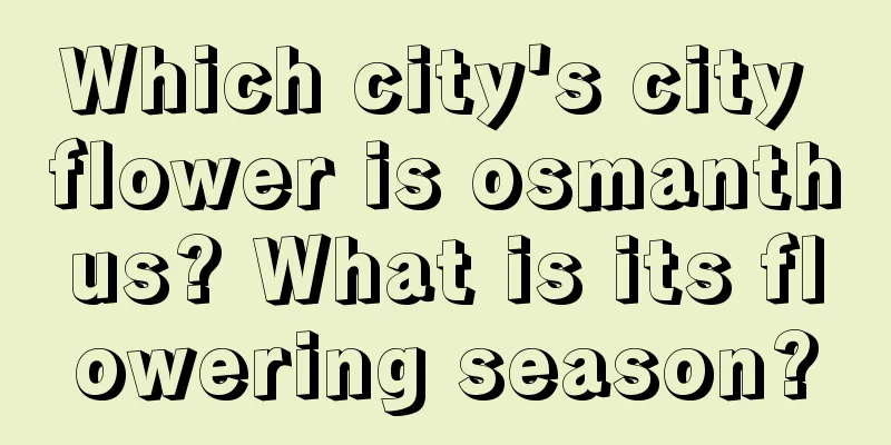 Which city's city flower is osmanthus? What is its flowering season?