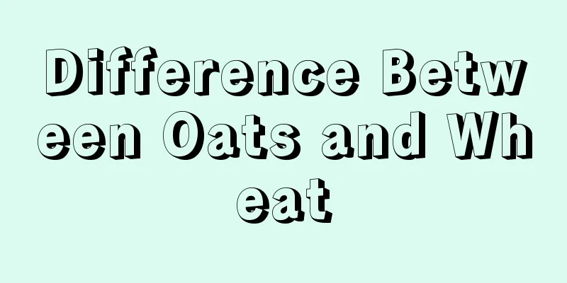 Difference Between Oats and Wheat