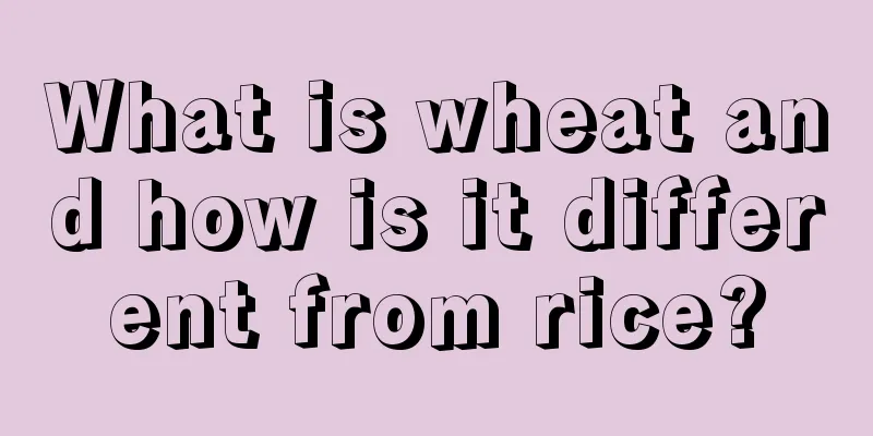 What is wheat and how is it different from rice?