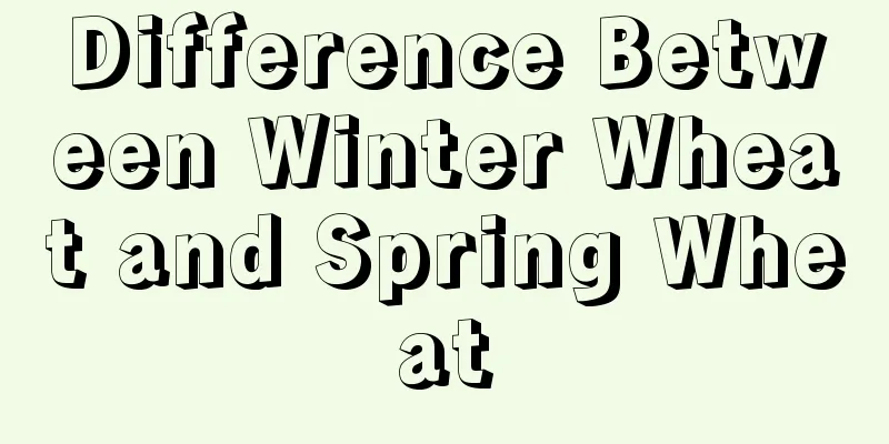 Difference Between Winter Wheat and Spring Wheat