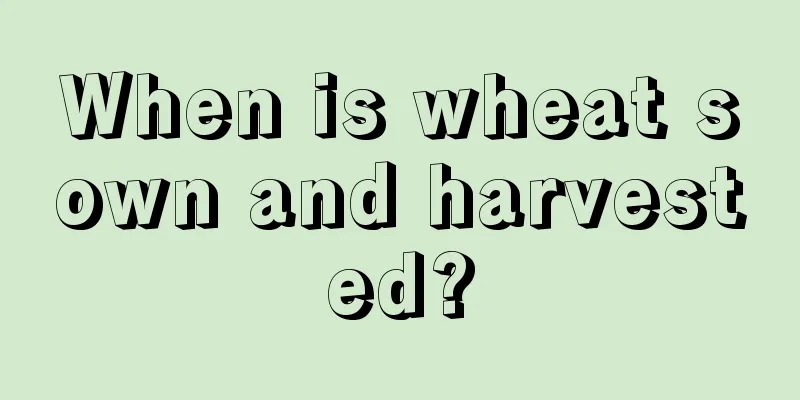 When is wheat sown and harvested?