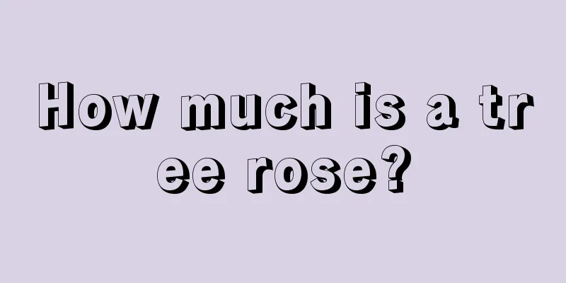 How much is a tree rose?