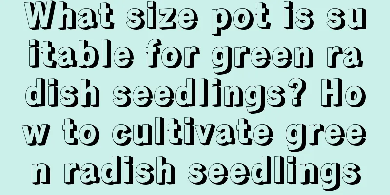 What size pot is suitable for green radish seedlings? How to cultivate green radish seedlings