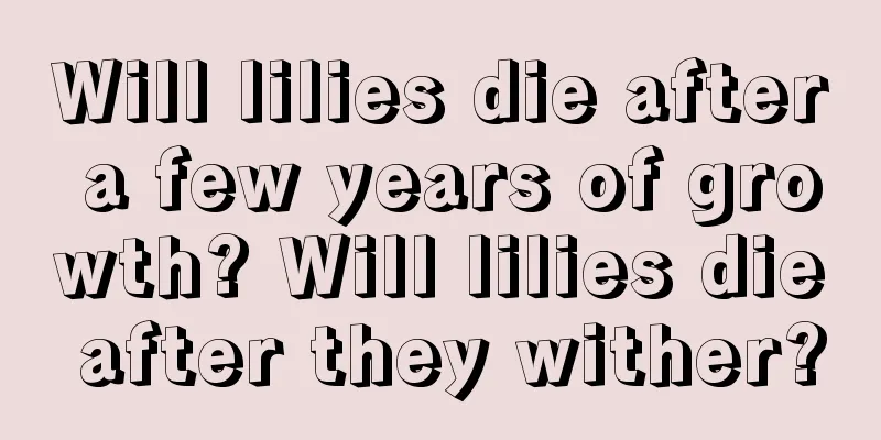 Will lilies die after a few years of growth? Will lilies die after they wither?