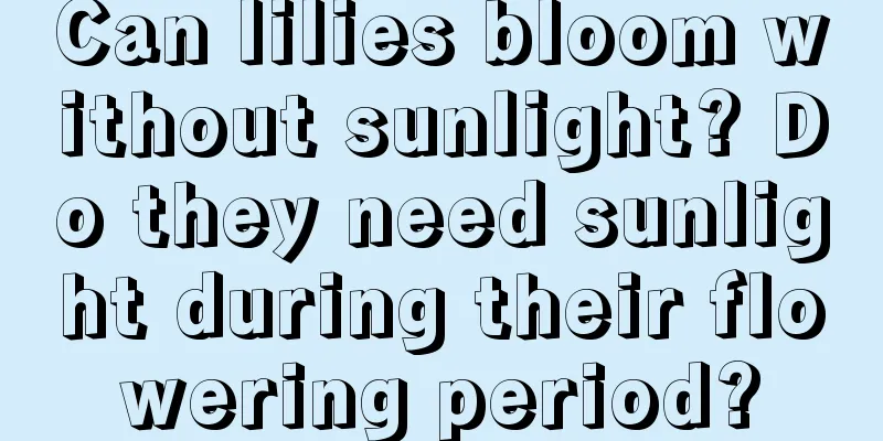 Can lilies bloom without sunlight? Do they need sunlight during their flowering period?