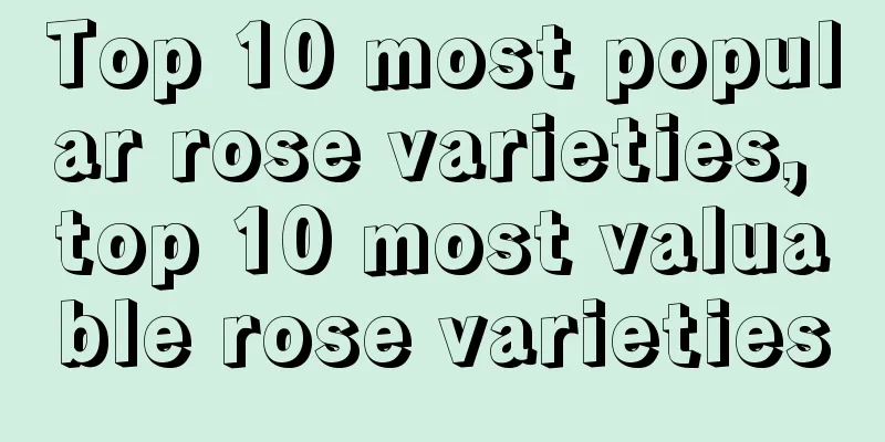 Top 10 most popular rose varieties, top 10 most valuable rose varieties