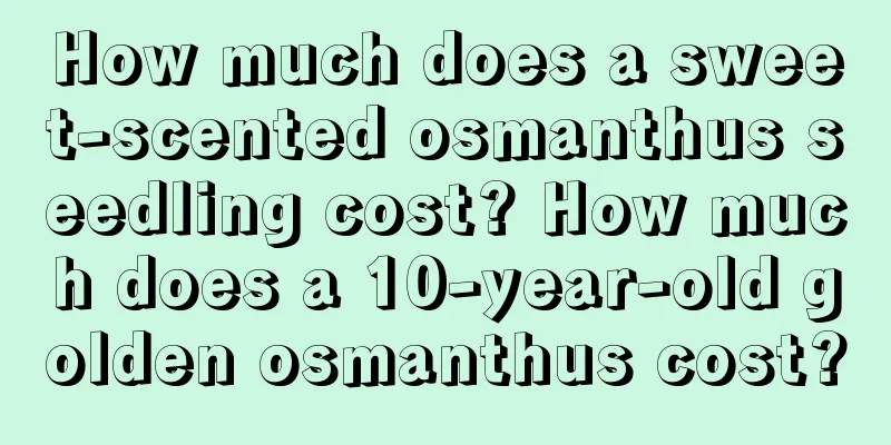 How much does a sweet-scented osmanthus seedling cost? How much does a 10-year-old golden osmanthus cost?