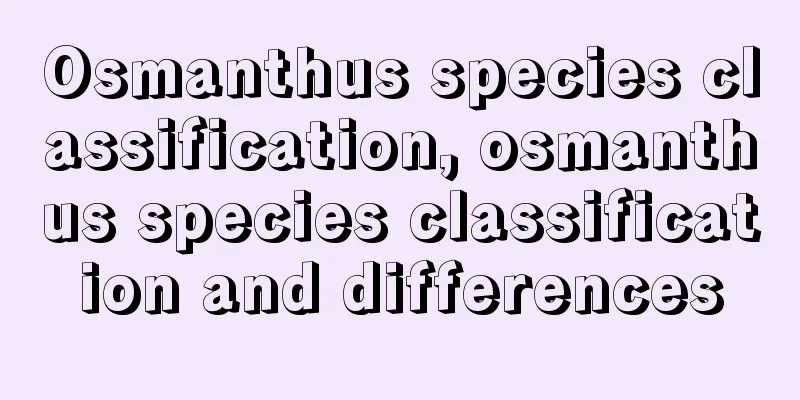 Osmanthus species classification, osmanthus species classification and differences