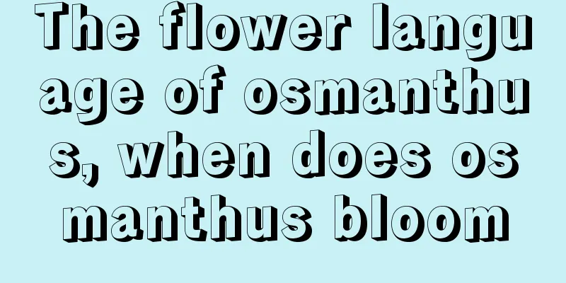 The flower language of osmanthus, when does osmanthus bloom