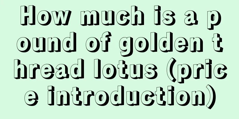 How much is a pound of golden thread lotus (price introduction)