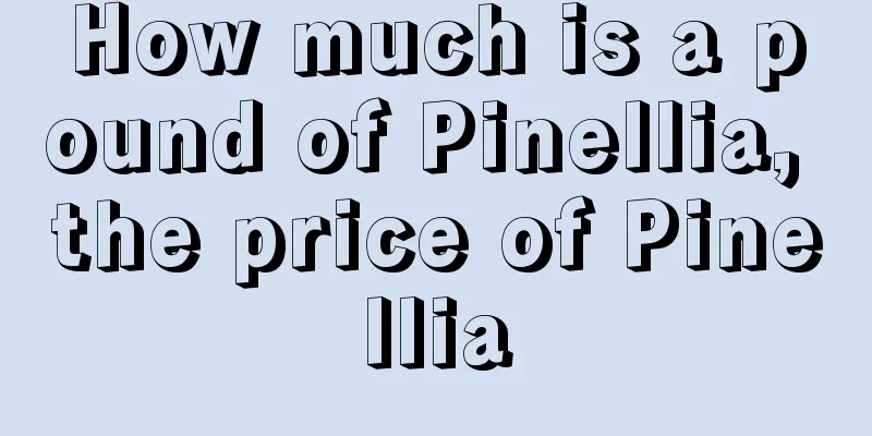 How much is a pound of Pinellia, the price of Pinellia