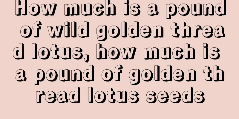 How much is a pound of wild golden thread lotus, how much is a pound of golden thread lotus seeds