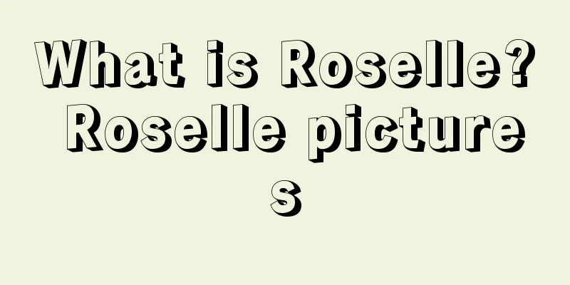 What is Roselle? Roselle pictures