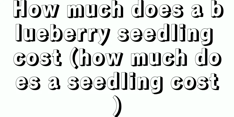 How much does a blueberry seedling cost (how much does a seedling cost)