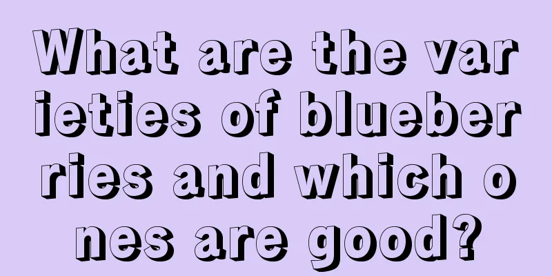 What are the varieties of blueberries and which ones are good?