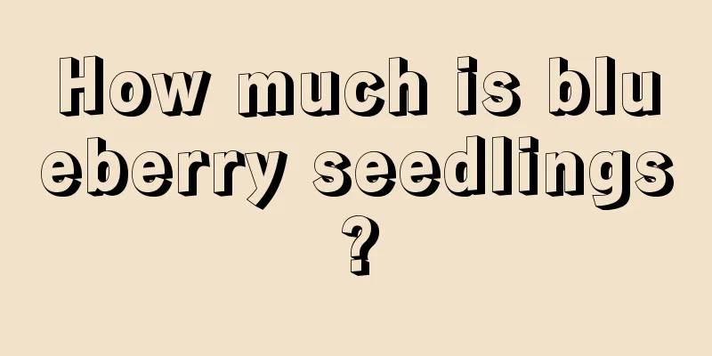 How much is blueberry seedlings?