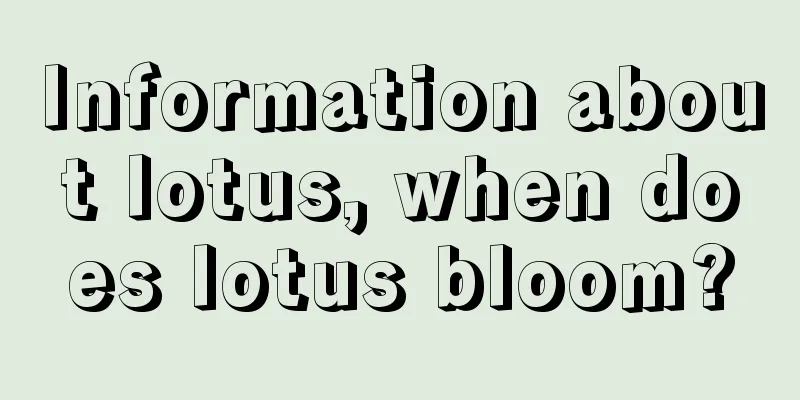 Information about lotus, when does lotus bloom?