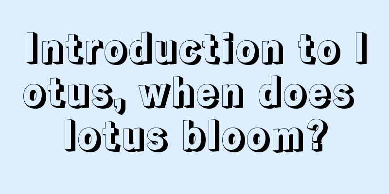 Introduction to lotus, when does lotus bloom?