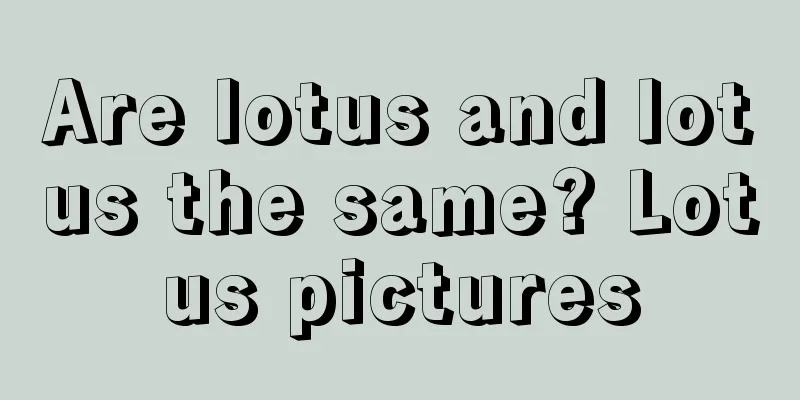 Are lotus and lotus the same? Lotus pictures