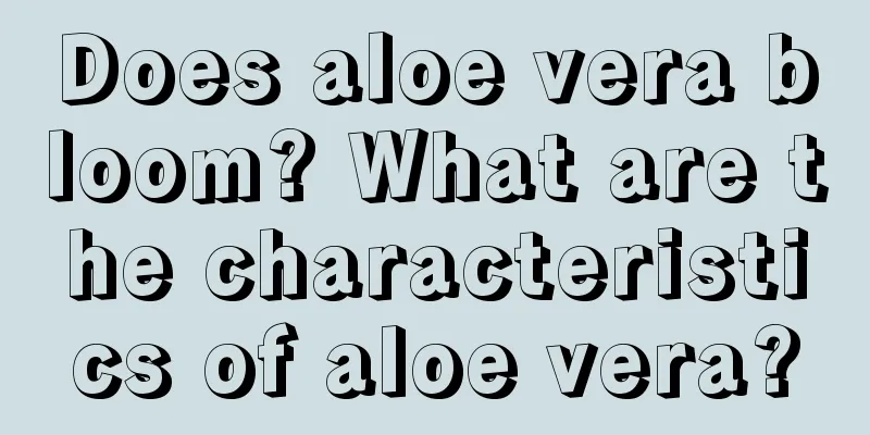 Does aloe vera bloom? What are the characteristics of aloe vera?