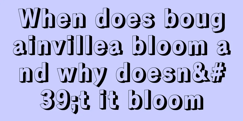 When does bougainvillea bloom and why doesn't it bloom