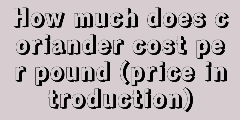 How much does coriander cost per pound (price introduction)