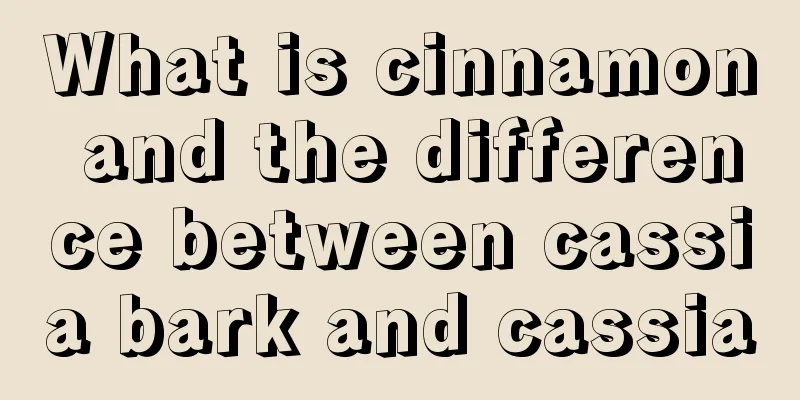 What is cinnamon and the difference between cassia bark and cassia