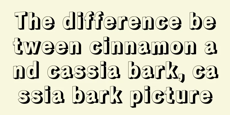 The difference between cinnamon and cassia bark, cassia bark picture