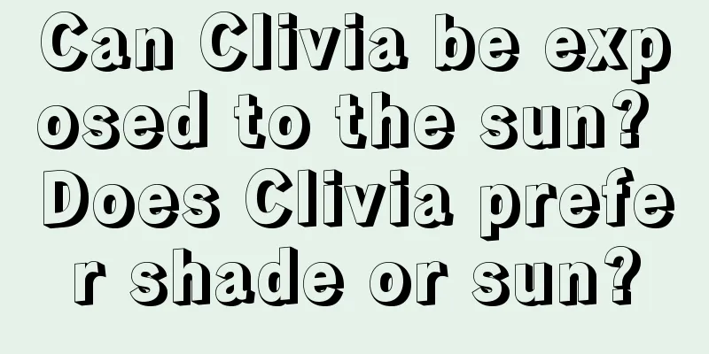 Can Clivia be exposed to the sun? Does Clivia prefer shade or sun?