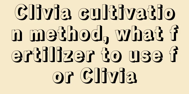 Clivia cultivation method, what fertilizer to use for Clivia