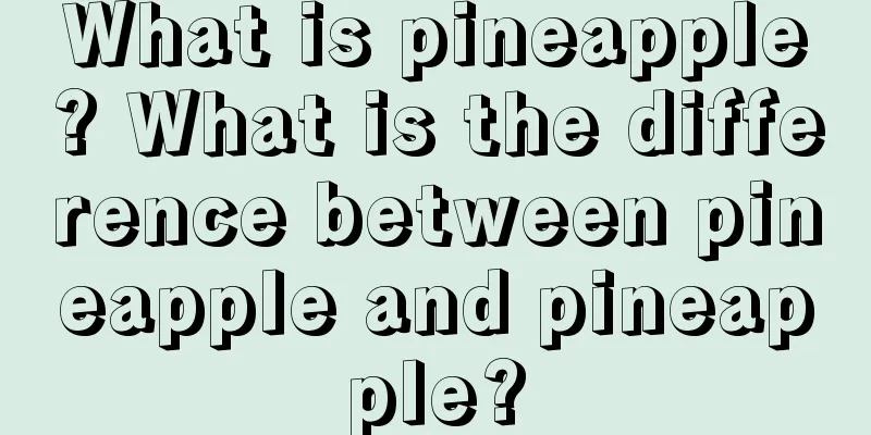 What is pineapple? What is the difference between pineapple and pineapple?