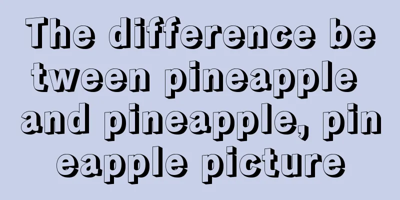 The difference between pineapple and pineapple, pineapple picture