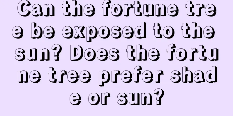 Can the fortune tree be exposed to the sun? Does the fortune tree prefer shade or sun?