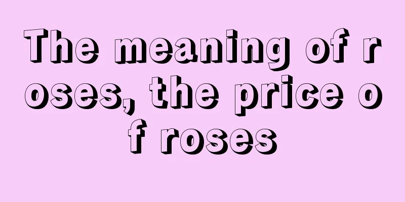 The meaning of roses, the price of roses