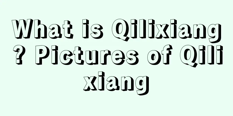 What is Qilixiang? Pictures of Qilixiang