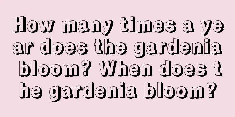 How many times a year does the gardenia bloom? When does the gardenia bloom?