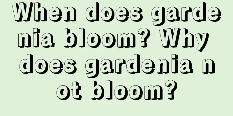 When does gardenia bloom? Why does gardenia not bloom?